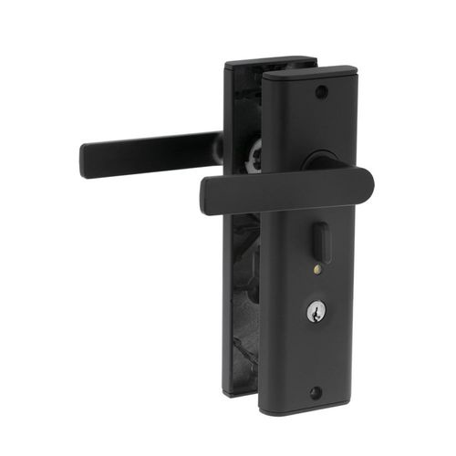 Nexion Entrance Handle Set