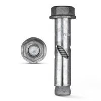 Dynabolt Galvanised 10 x 40mm