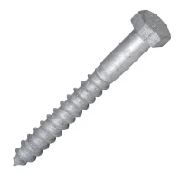 Coach Screw Galvanised 6 x 25mm